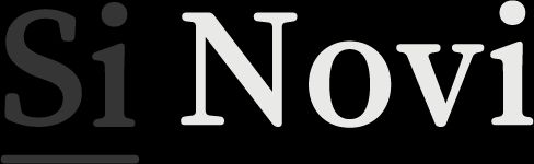 Logo for Si Novi, a UK-based software consultancy