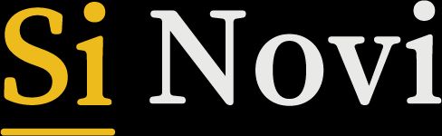 Logo for Si Novi, a UK-based software consultancy